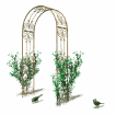 archway_stencil_decorative_birds_mingling_md_wht.gif