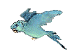 bird2.gif