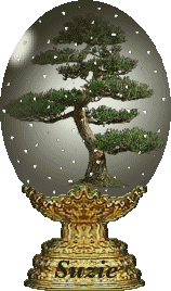 bonsai.gif