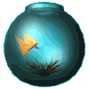 fish.gif