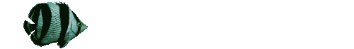 fish08.gif