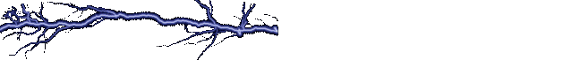 lighting.gif