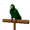 parot.gif
