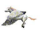 pegasis.gif