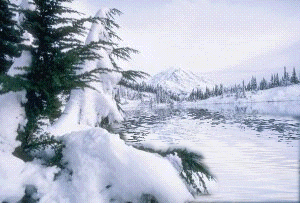 taalaska.gif