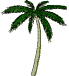 tree10.gif